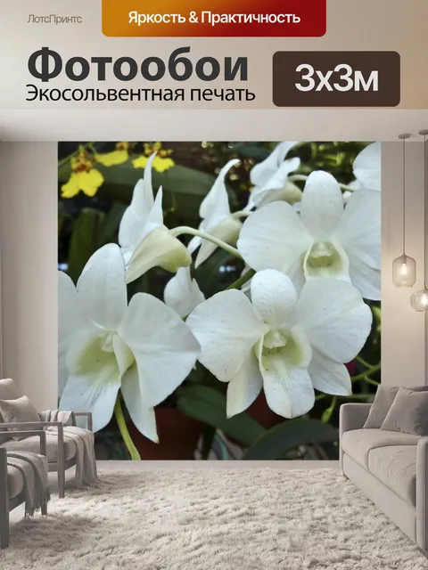 Фотообои Спрей из белых орхидей