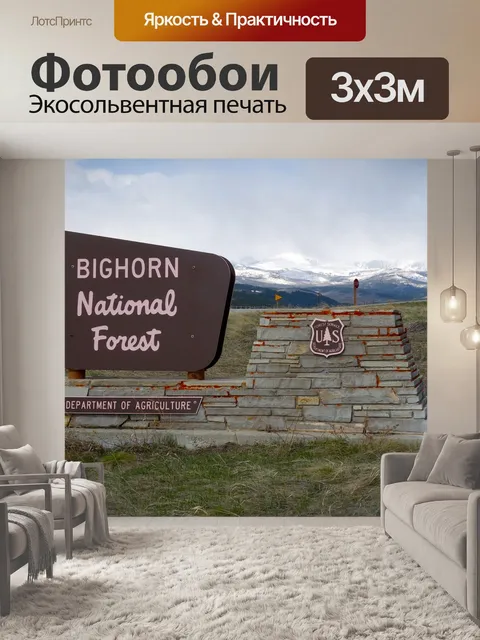 Фотообои Соединенные штаты америки