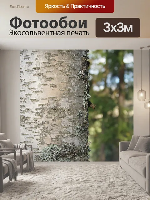 Фотообои Береза