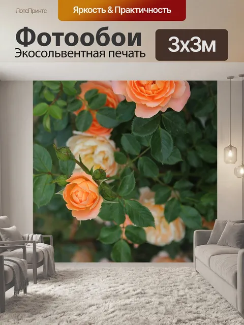 Фотообои Чайная роза