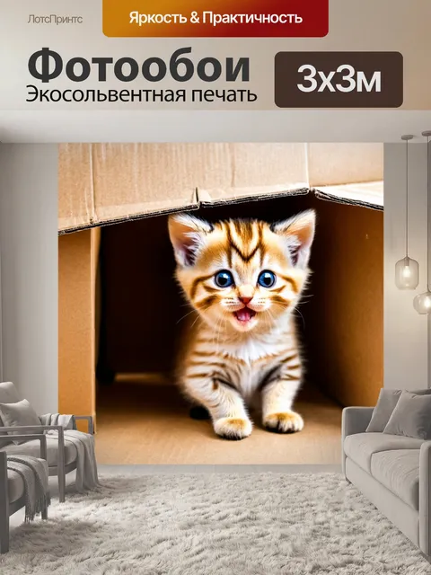 Фотообои котята, осваивающие картонные коробки, делая свои убежища