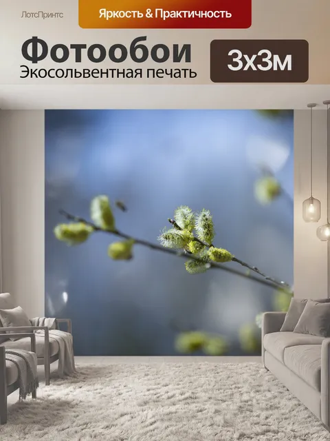 Фотообои Киска ивовых прутьев