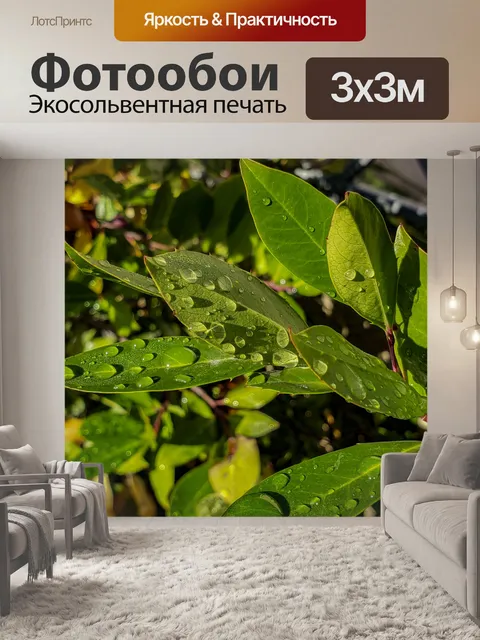 Фотообои Зеленые листья мокрые капли