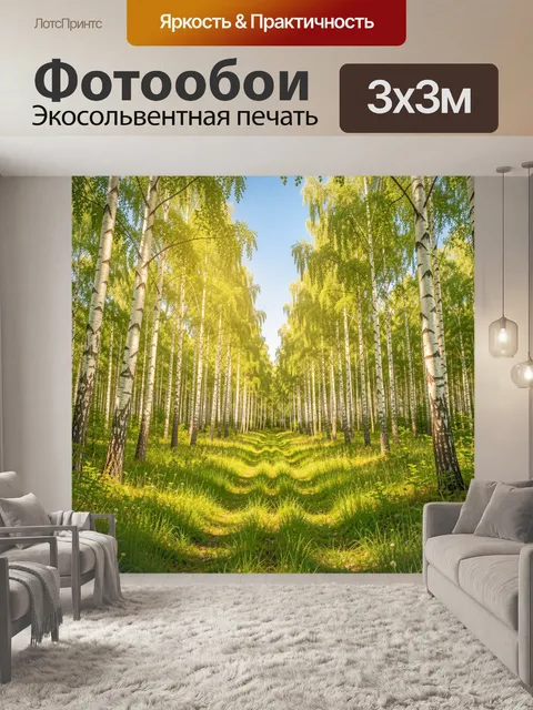 Фотообои Солнечная берёзовая аллея в лесу
