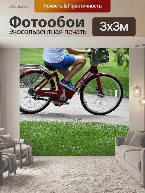 Фотообои Прокат велосипедов