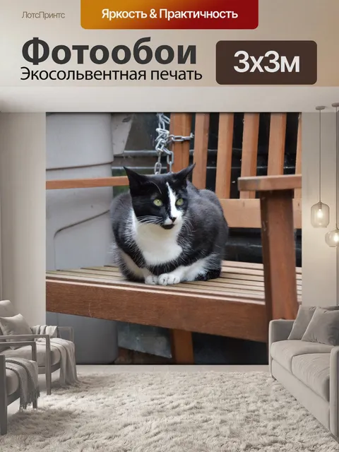 Фотообои Кошки 1