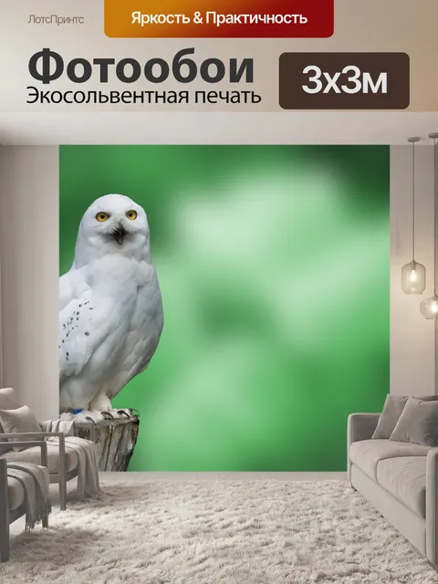 Фотообои Снежная Сова