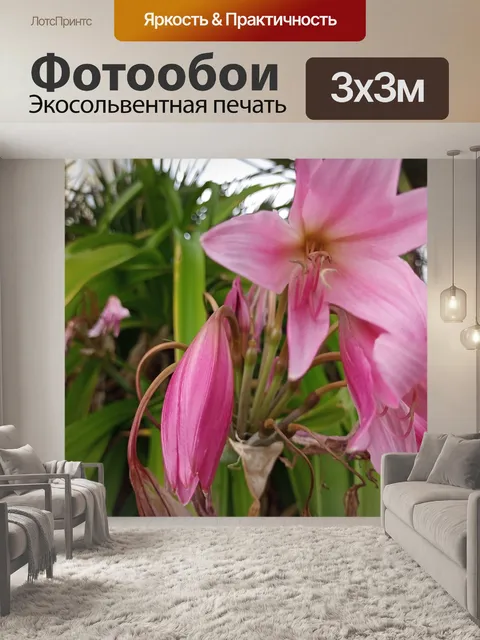 Фотообои розовое растение рыхлое