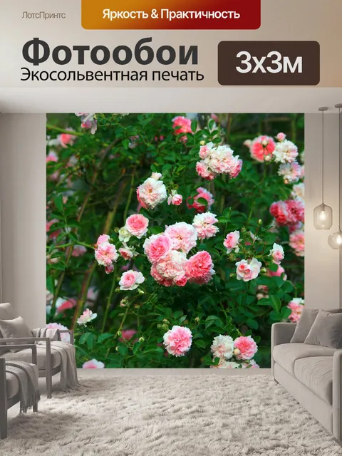 Фотообои Кластер из роз