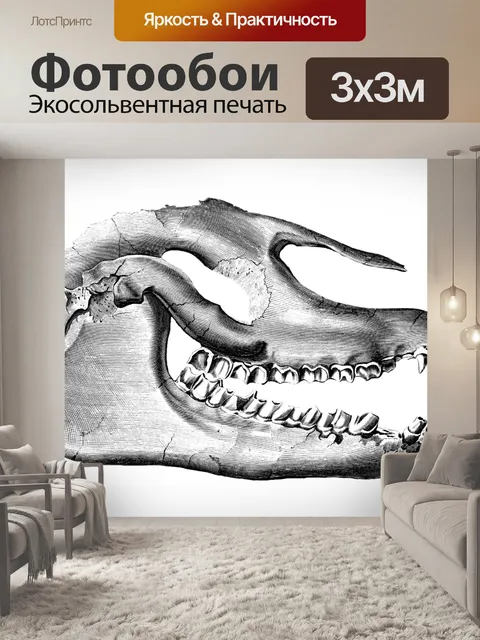 Фотообои Палеотерий череп