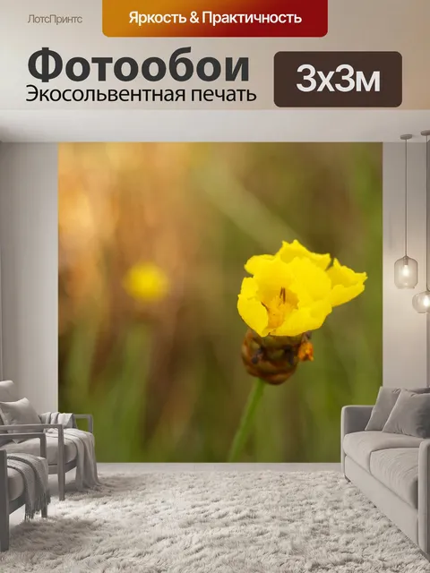 Фотообои Цветки одичалые Стоковая Фотография