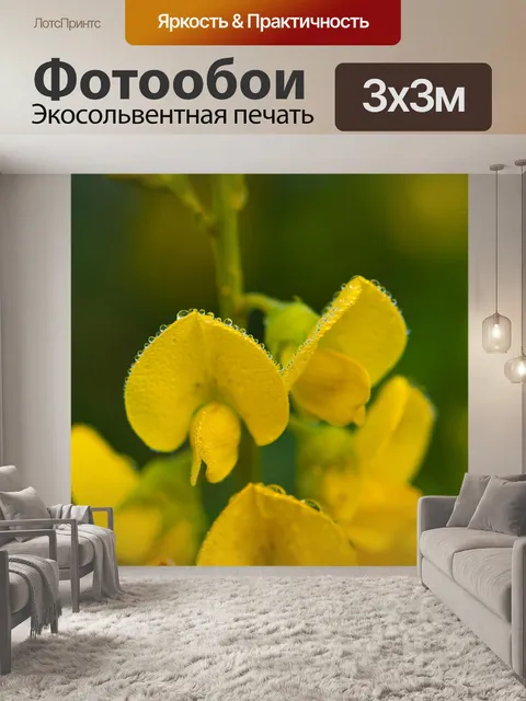 Фотообои Желтые цветы