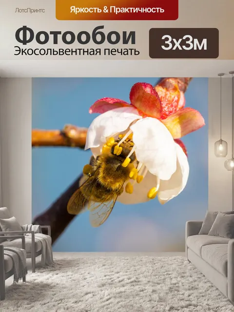 Фотообои опыляющая пчела