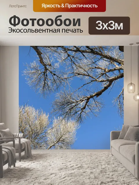 Фотообои Голые ветви и голубое небо