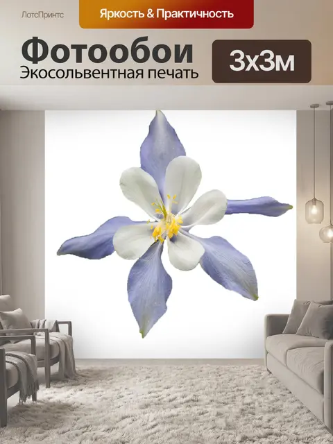Фотообои Белый цветок