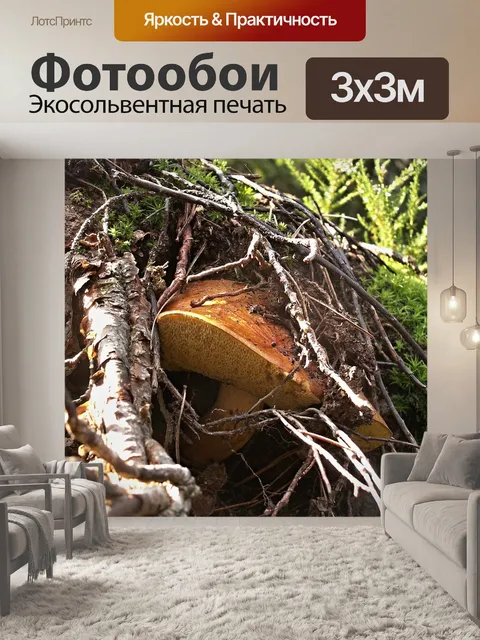 Фотообои Гриб
