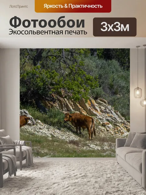 Фотообои Коровы на берегу озера