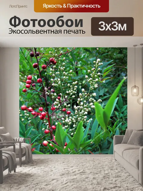 Фотообои красные ягоды и белые цветы