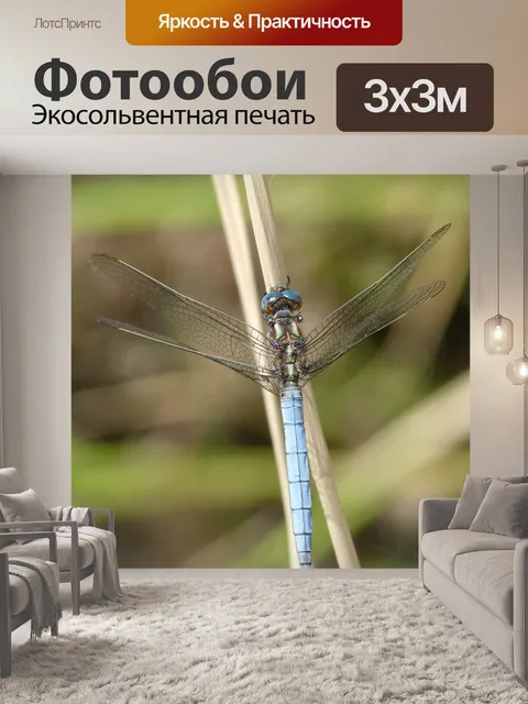 Фотообои Стрекоза