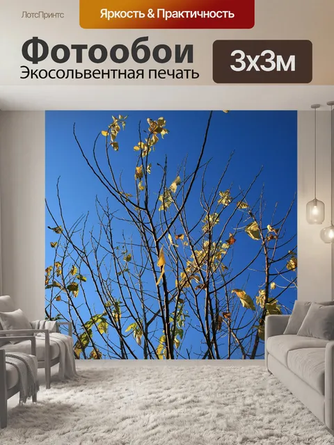 Фотообои свет на листьях на синем небе