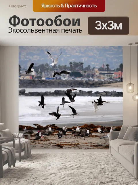 Фотообои Стая чаек