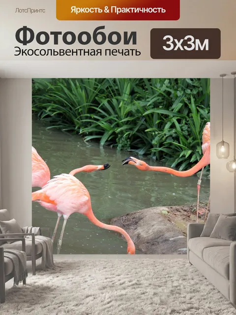 Фотообои Два фламинго бои с клювом