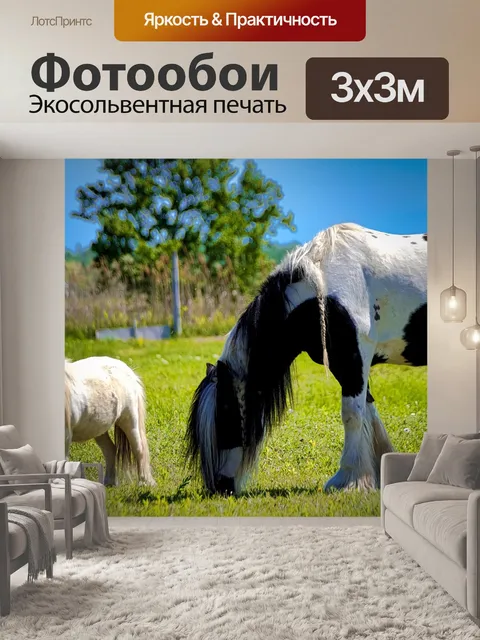 Фотообои Лошадь