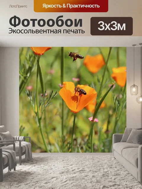 Фотообои Золотой мак