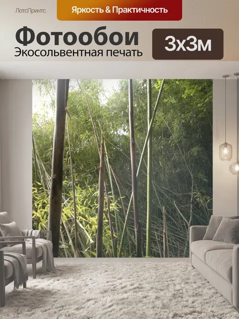 Фотообои Бамбук Bambuseae viridiglauc