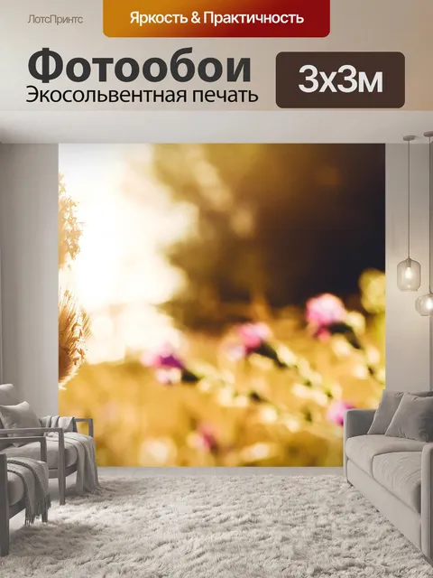 Фотообои Заход солнца