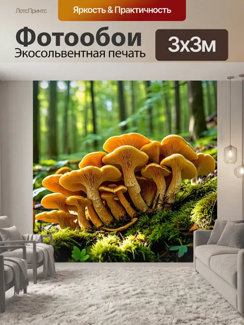 Фотообои грибы лисички в лесной подстилке
