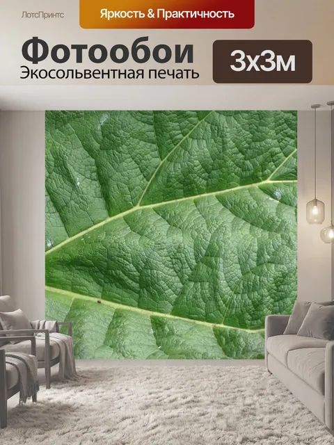 Фотообои Зеленый лист фон