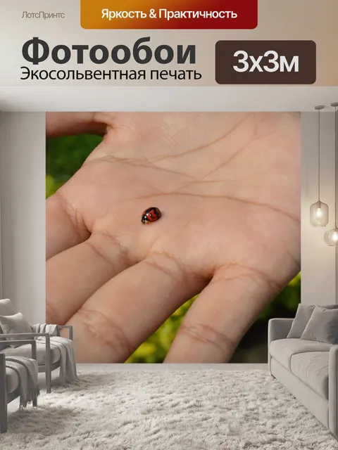 Фотообои Божья коровка