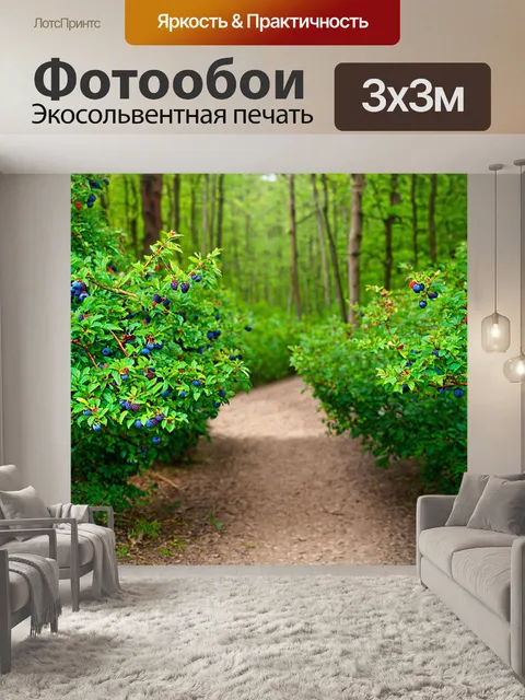 Фотообои лес с малиновыми и голубыми ягодами, растущими вдоль тропы