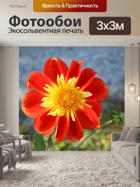 Фотообои Оранжевый
