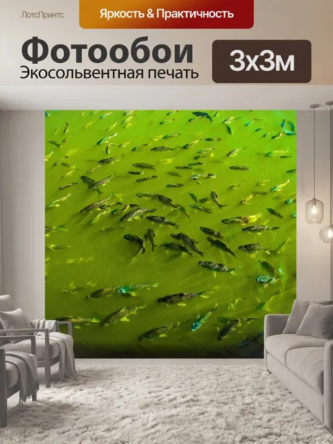 Фотообои Рыбы