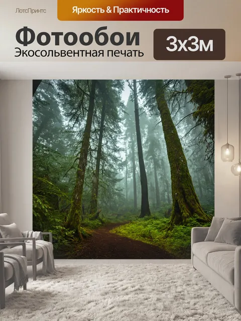 Фотообои волшебные леса с утренним туманом