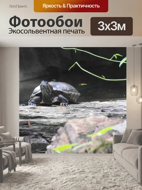 Фотообои Черепаха в пруду