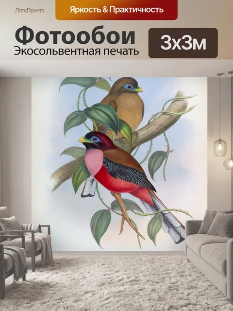 Фотообои Иллюстрация винтажного искусства птиц
