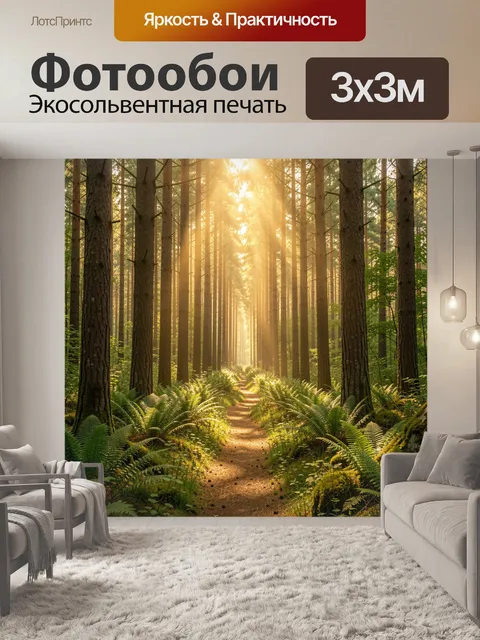 Фотообои Солнечная лесная тропа в соснах