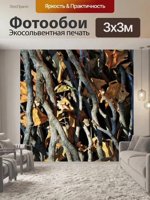 Фотообои веточки и листья
