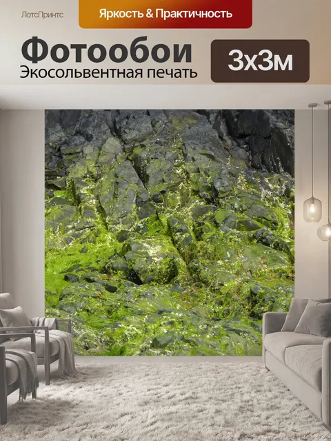 Фотообои Мшистые скалы
