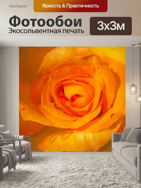 Фотообои Роза в саду