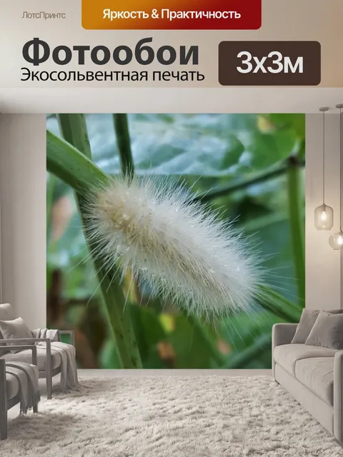 Фотообои Гусеница Виргинской Тигровой Моли
