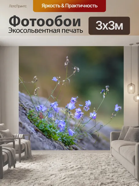 Фотообои Синий