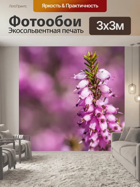 Фотообои Обыкновенный вереск