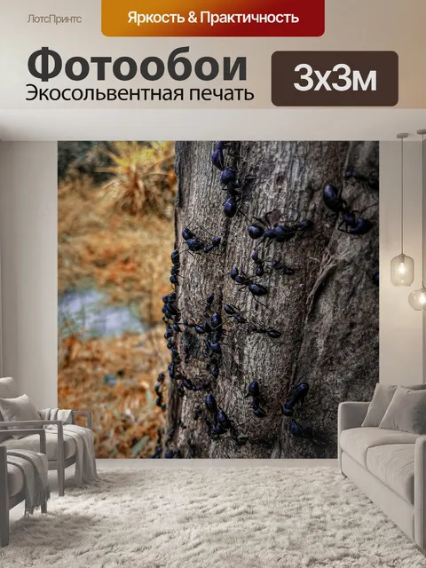 Фотообои Муравей