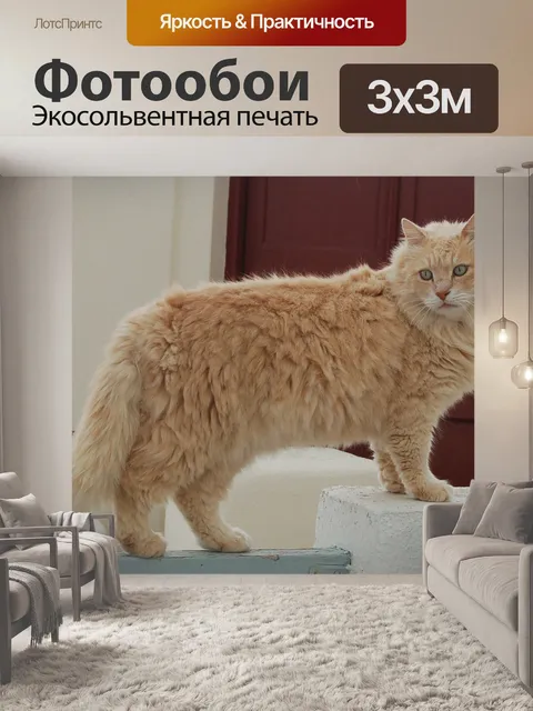 Фотообои Кошка