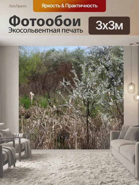 Фотообои Весна в саду