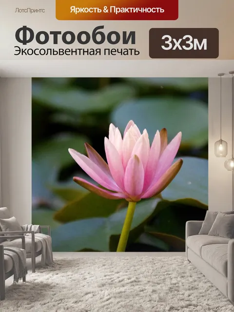 Фотообои В центре кувшинки в пруду